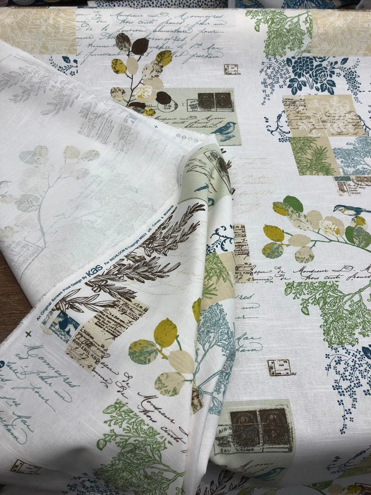 Richloom Brigitte Sky Blue Green  French Script Paris Floral Fabric By the yard